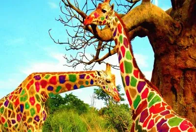 Multicolored-Giraffe