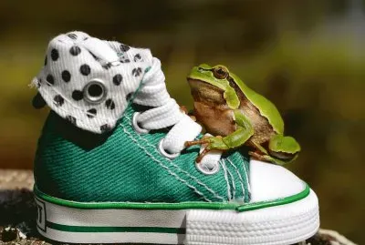 Green-Frog-Sneakers