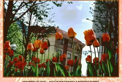 AMURRIO (ÃLAVA) â€“ BUEN TXAKOLI Y BONITAS FLORES