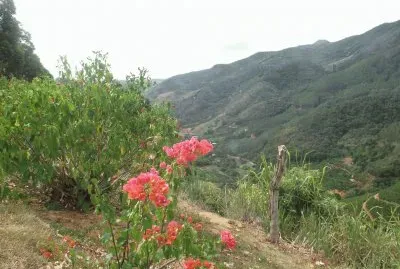 Natureza Pura