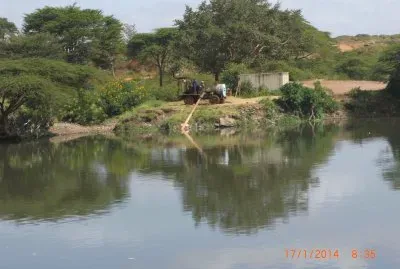 KILIMAMBOGO