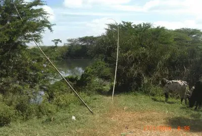 KILIMAMBOGO