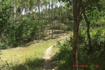 KILIMAMBOGO