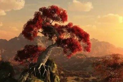 ç¨æ¨¹é¢¨é‡‡ jigsaw puzzle