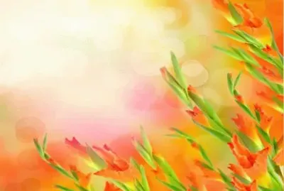 èŠ±å‰èƒŒåœ–