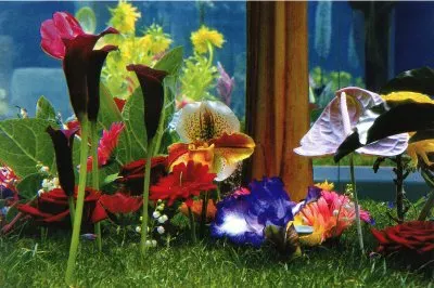 Painting of Exotic Flowers