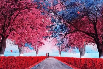 imagens jigsaw puzzle