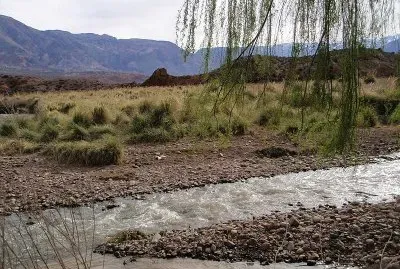 En Uspallata. Mendoza. Argentina