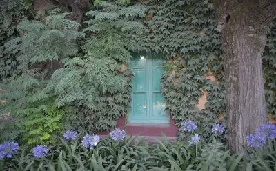 En Santa Coloma. Buenos Aires. Argentina