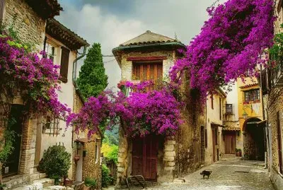 Aldea