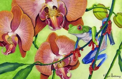 Acuarela rana jigsaw puzzle