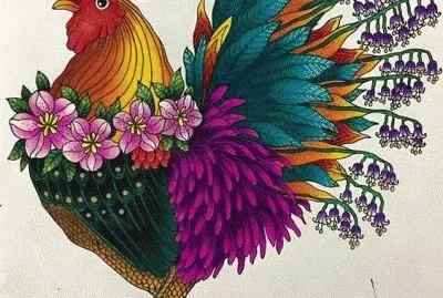 Beautiful Rooster
