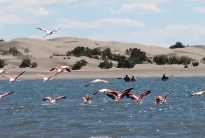 Caleta en la Provincia de RÃ­o Negro. Argentina