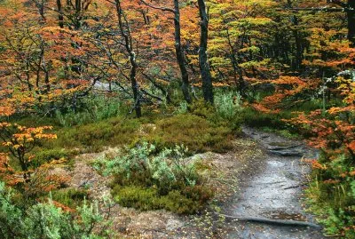 PN Tierra del Fuego. Argentina