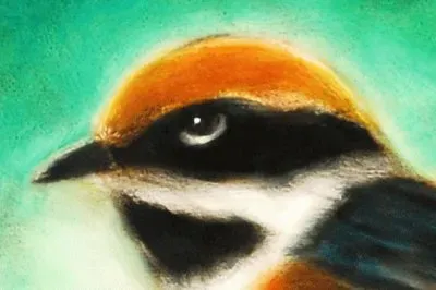 è Ÿç­†ç•«