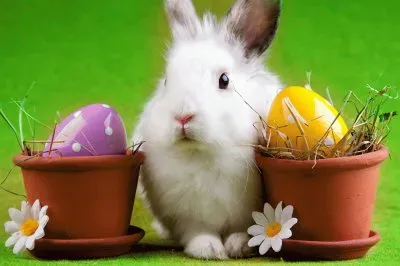 פאזל של Rabbits_Colored_