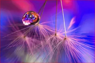 ESFERA jigsaw puzzle