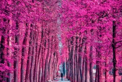 imagens jigsaw puzzle