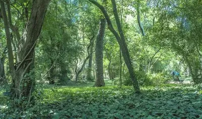 En Palermo. Ciudad de Buenos Aires. Argentina