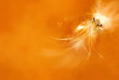 ç°¡å–®å”¯ç¾Ž jigsaw puzzle