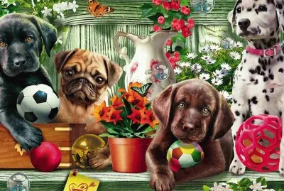 Perritos jigsaw puzzle