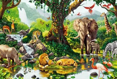 selva jigsaw puzzle
