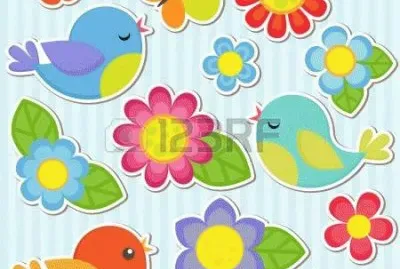 pajaros