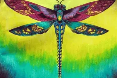 Colorful Butterfly jigsaw puzzle