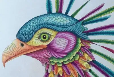 Colored Bird