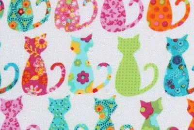 gatos