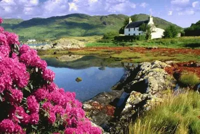 NATUREZA