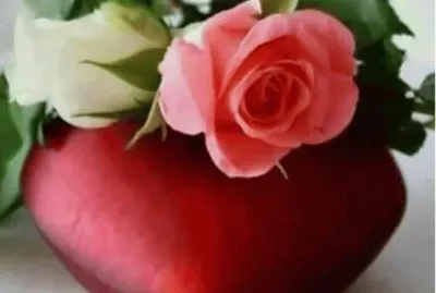 imagens jigsaw puzzle