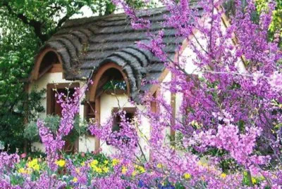 todo paisaje jigsaw puzzle