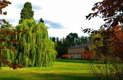 todo paisaje jigsaw puzzle