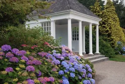 todo paisaje jigsaw puzzle