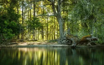 Paraje PucarÃ¡. NeuquÃ©n. Argentina