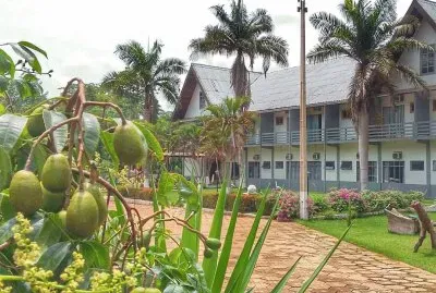 Caja Manga no jardim