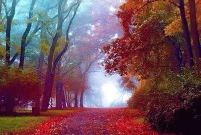 todo paisaje jigsaw puzzle