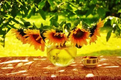 imagens jigsaw puzzle