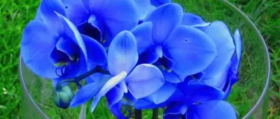 COSTARRICENSE jigsaw puzzle