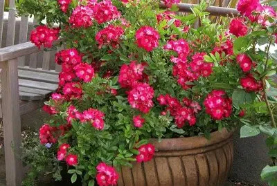 imagens jigsaw puzzle