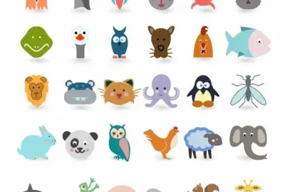 animales