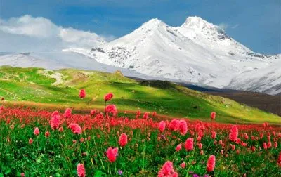 NATUREZA jigsaw puzzle