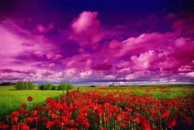 imagens jigsaw puzzle