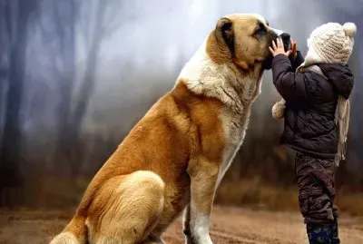 Amor-Animales-NiÃ±o jigsaw puzzle