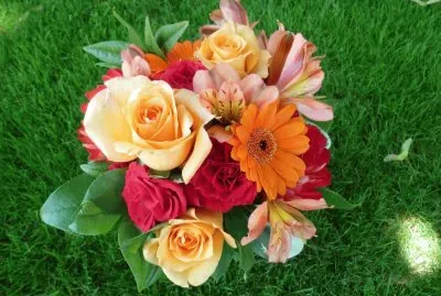 Roses_Gerberas_Alstroemeria_