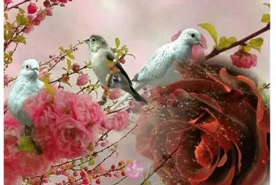 imagens jigsaw puzzle