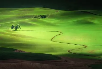 imagens jigsaw puzzle