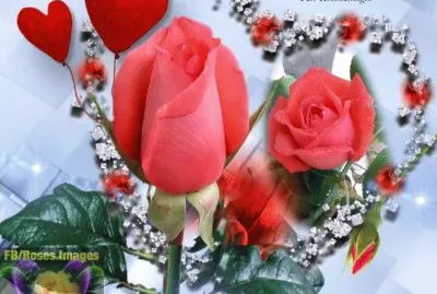 imagens jigsaw puzzle