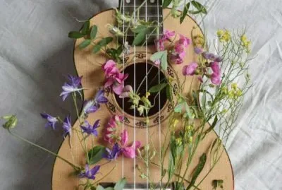 פאזל של flowers in my guitar